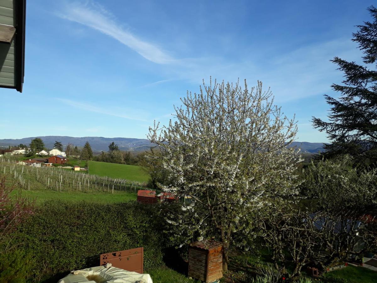 Chalet Norev Saint-Martin-du-Mont Exteriör bild